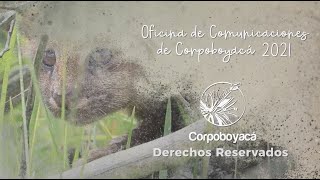 Capítulo 1 – Tiempo de Paz con la Naturaleza