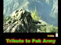Pakistan Fights Back - ALLAH O AKBAR