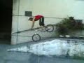 shoti nose manual