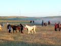 Oglala Suicide Race 2 Oglala Suicide Race 2