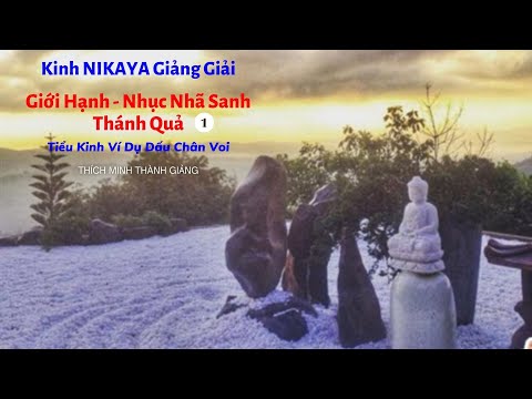 Kinh NIKAYA Giảng Giải - Giới Hạnh - Nhục Nhã Sanh Thánh Quả - Tiểu Kinh Ví Dụ Dấu Chân Voi 1