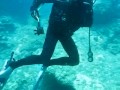 Scuba Diving at Sharks Cove
