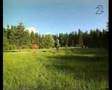 Sommarlov 1995
