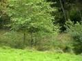 videos de WT Work & More 2008 - Fortgeschrittene, Harry Brunet