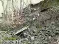 Wall Collapse in Bronxville New York