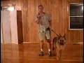 Dog Training Handsignals For Sit, Down, and Stand