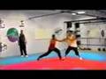 Tanglang Chuji Sanda (Elementary Free-fighting) Pt 1
