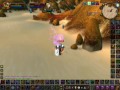 Revike 70 enchancement shaman pvp