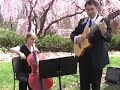 classical-gas-electric-cello-and-guitar-montana-skies.html
