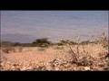 Bekijk video