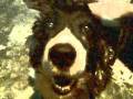 Meu amigo Bily