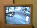 videos de Jourfuck monitor