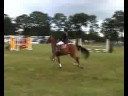 Regiokampioenschappen 2008 \"Bianca met Esprit\" Klasse B Regiokampioenschappen 2008 \"Bianca met Esprit\" Klasse B