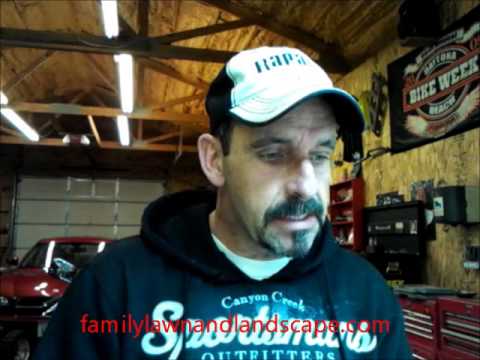 how to care lawn