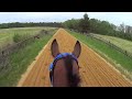 Jockey Cam Horse FAST Galloping 44mph. GoPro Hero 3 GALLOP