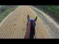 Jockey Cam Horse FAST Galloping 44mph. GoPro Hero 3 GALLOP