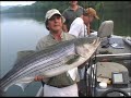 Monster Stripers 2 Promo (Part One)