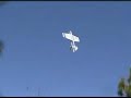 RC Plane kills cat in tiny yard!
