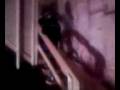 videos de shaving cream pie in face kid freaks out