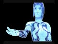 Master Chief and The Arbiter are having a chat with a bit of agruement, but then Cortana came and was all obseesed with hacking covenant systems and ships and drove the Master Chief and The Arbiter crazy! Will Cortana stop, or will she continue?