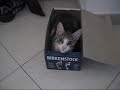 Tutti pazzi per le Birkenstock