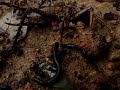 Leeches in NZ?