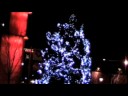 Christmas Tree Lighting in Milwaukee Christmas Tree Lighting in Milwaukee