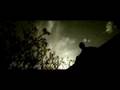 Ver Video