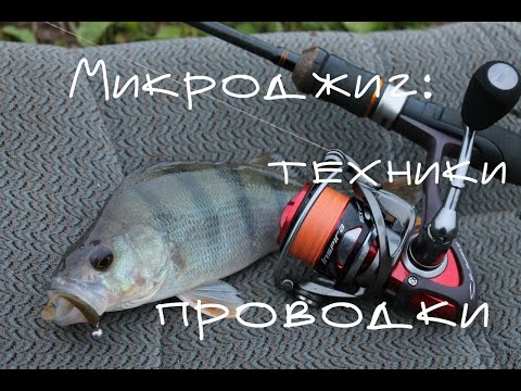 два стиля микроджига или софт против харда два стиля микроджига или софт против харда