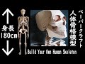 videos de 人体骨格模型 ペーパークラフト