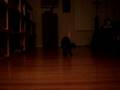 videos de Puck and Bowie