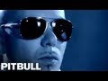 Videoclipuri - Pitbull - Go Girl