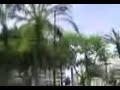 La m�sica de la fuente se rall� (Plza Circular) Murcia