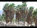 Tigaki, Kos