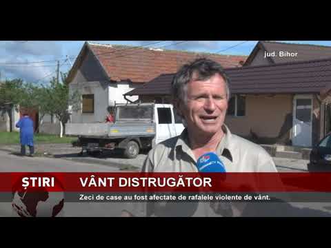 Vântul puternic a făcut ravagii, în județul Bihor