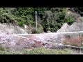 2008 Asian Cycling Championships NARA 2008 Asian Cycling Championships NARA