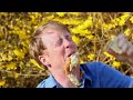 Please go to www.savepicnicface.com, sign the petition and tweet about it. We need all the support we can get to keep this group together.