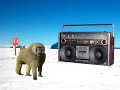 Arctic Monkeys - Love Machine (feat. Baboons) Arctic Monkeys - Love Machine (feat. Baboons)