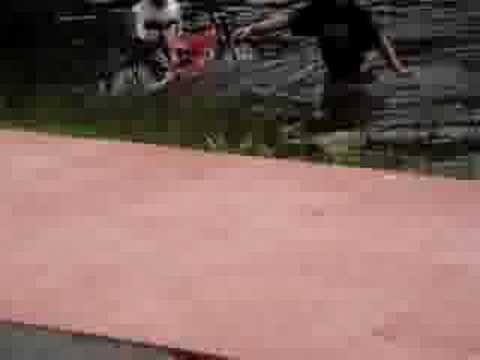 Albert and David Bicycling into ...