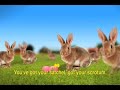 Testicles Song