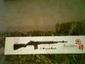 G & G M14!