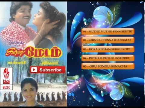 Tamil Old Songs | Chinna Madam Full Songs | Tamil Hit Songs | Ramki,Vineetha,Nadhiya