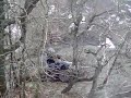 Hill climbing with Honda TRX450R