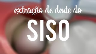 Daniela Guimarães-14
