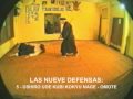 KATANA URA MAWASHI _  Ejercicio  5  a  5   _    AIKIDO     JOSE KNAPHAIS.mpg
