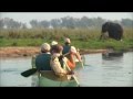 13-Lower Zambezi National Park Zambia.wmv - YouTube