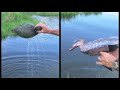 NRA FUD. The ultimate decoys for waterfowl hunting