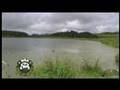 NRA FUD. The ultimate decoys for waterfowl hunting