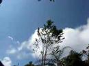 gunung angsi moving clouds gunung angsi moving clouds
