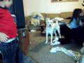 Casper and Persephone 2